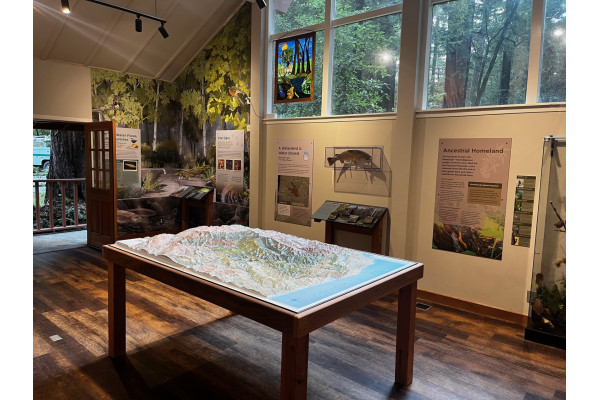 New Raised Relief Display for the Pescadero Creek Park Visitor Center 