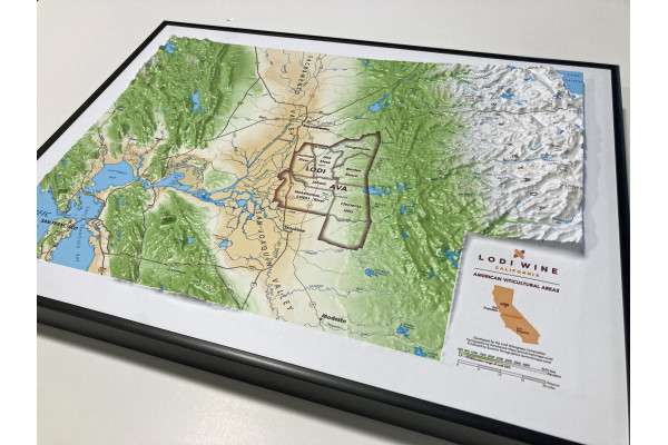 Lodi AVA Area 3D Relief Map